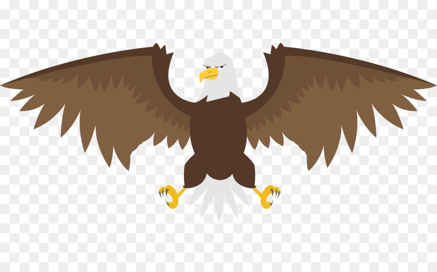 Cartoon Eagle Logo - Bald Eagle Bird Illustration - Vector cartoon eagle falcon png ...