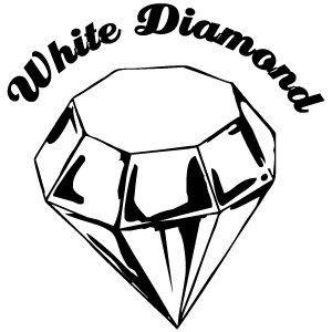 White Diamond Logo - ROBERTS SURFBOARDS: WHITE DIAMOND - Roberts Surfboards