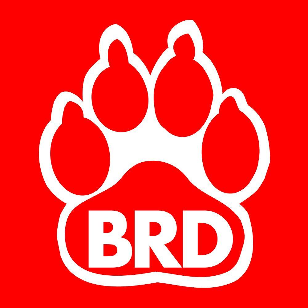 Red Dog Paw Logo - BIG RED DOG: Houston Mid Year Review. BIG RED DOG, A Division Of WGI