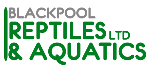 Rustic Bridge Logo - AQ Rustic Bridge - Blackpool Reptiles & Aquatics