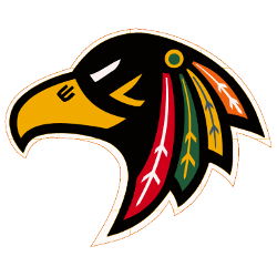Chicago Blackhawks Logo - Chicago Blackhawks Concept Logo. Sports Logo History