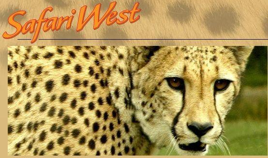 Safari West Logo - Homeschool Parent: Our Family's Safari Adventure at Safari West