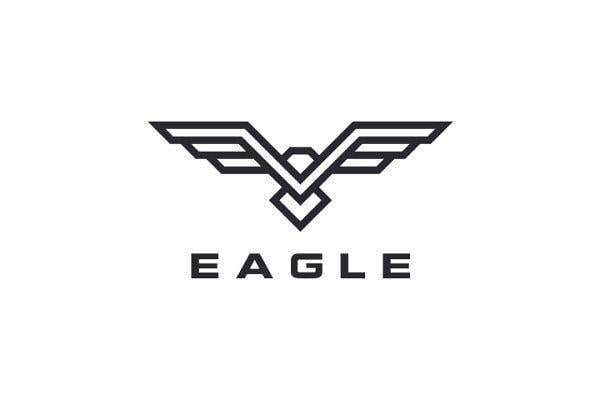 Eagle Logo - 85 Best Eagle Logo images | Geometric drawing, Paint, Andean condor