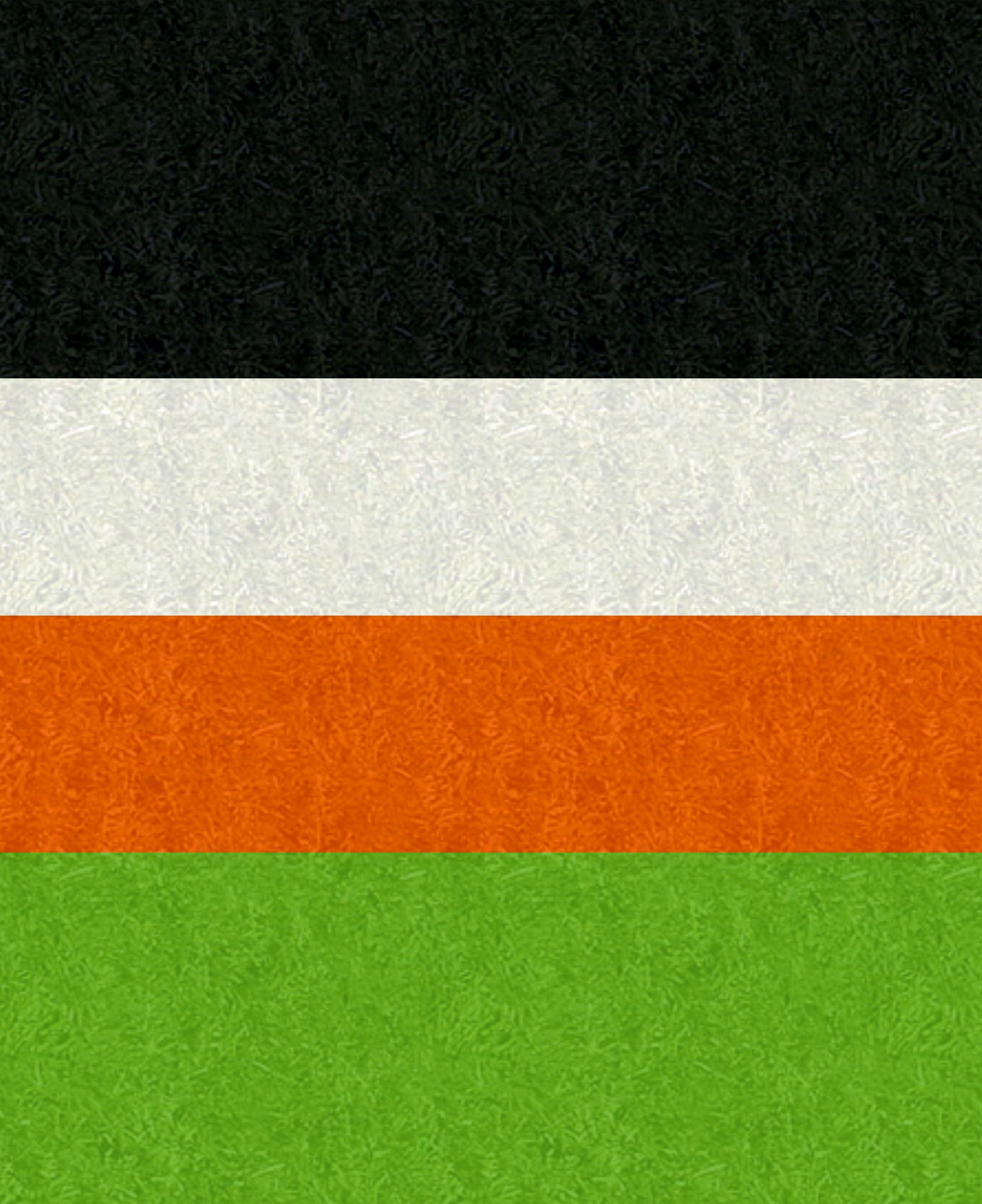 Orange and White Green Flag Logo - Customizable Non Binary Pride Flag. Black, White, Orange, And Green
