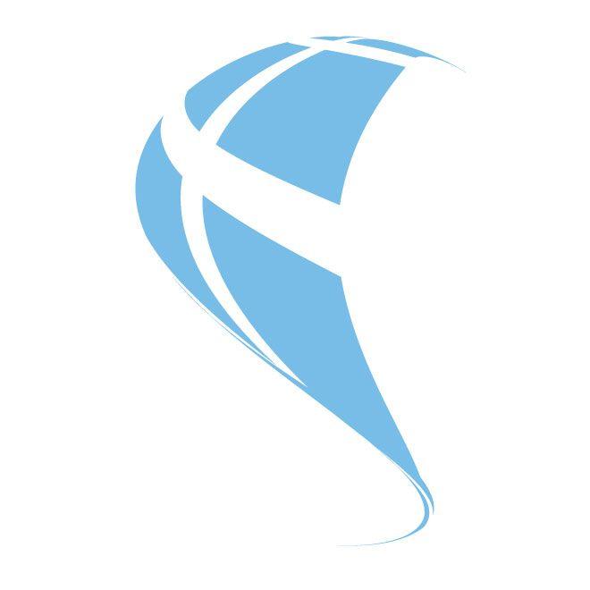 Blue Sail Logo - BLUE SAIL LOGO CONCEPT