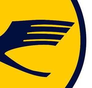 Yellow and Blue Bird Logo - Blue Bird In Yellow Circle Logo