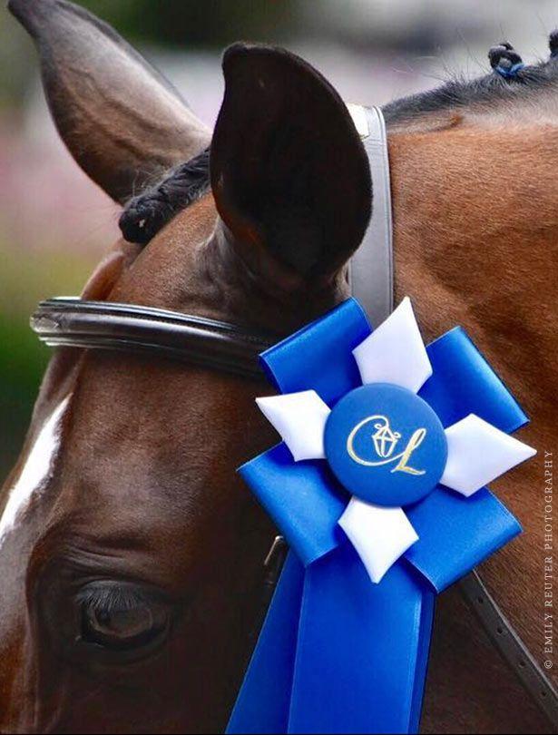 Horse Ribbon Logo - Lamplight Equestrian Center Logo Design, Branding and Marketing in ...
