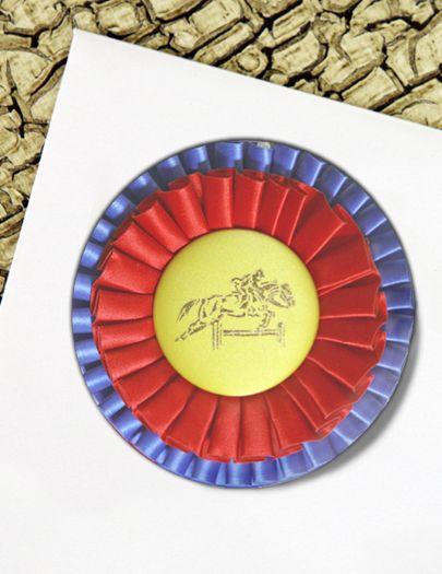 Horse Ribbon Logo - Champion Horse Show Ribbon Stickers - The Painting Pony