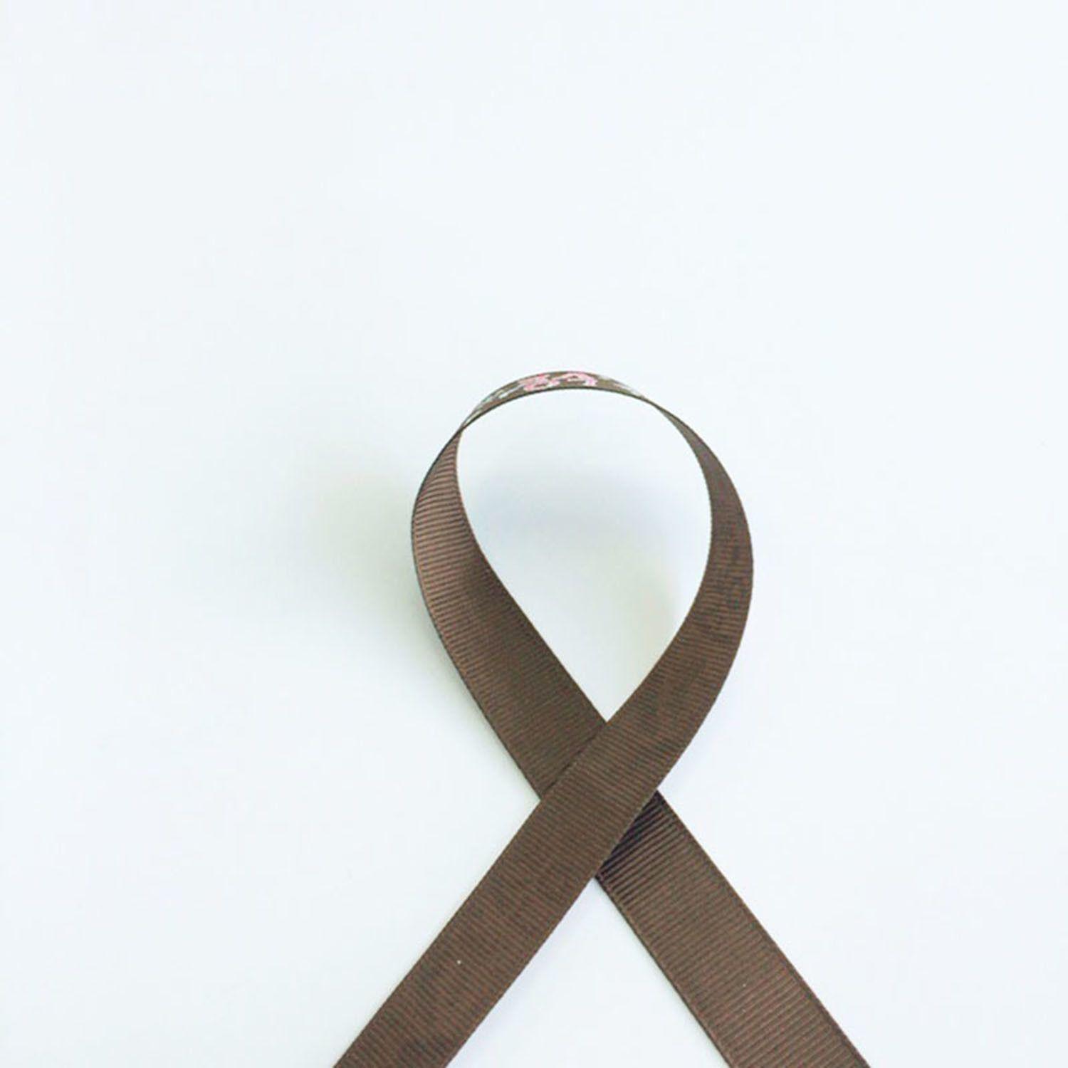 Horse Ribbon Logo - China Custom Made Print Logo Top Quality Printed Horse Ribbon Photo