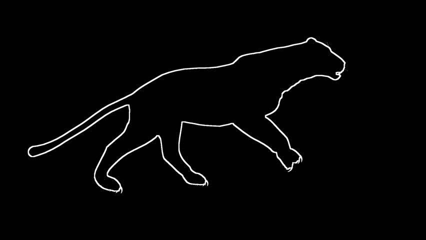 Black Panther Red Outline Logo - Looping Jaguarpantherleopardpuma Animation with Silhouette Stock ...