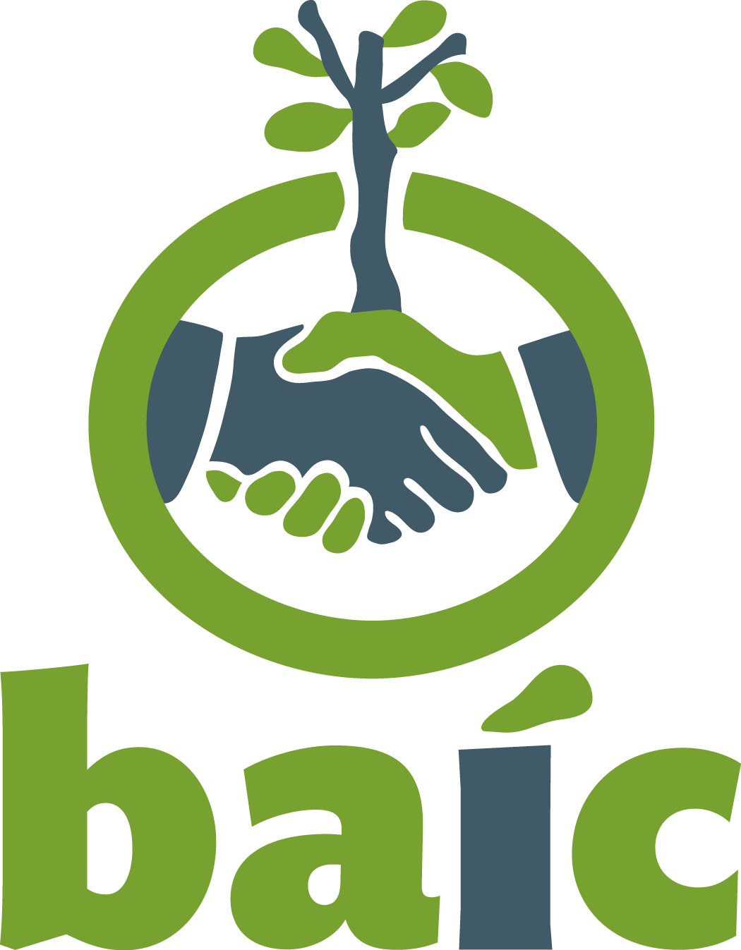 Baic Logo - BAIC LOGO 1 | Design Caribbean