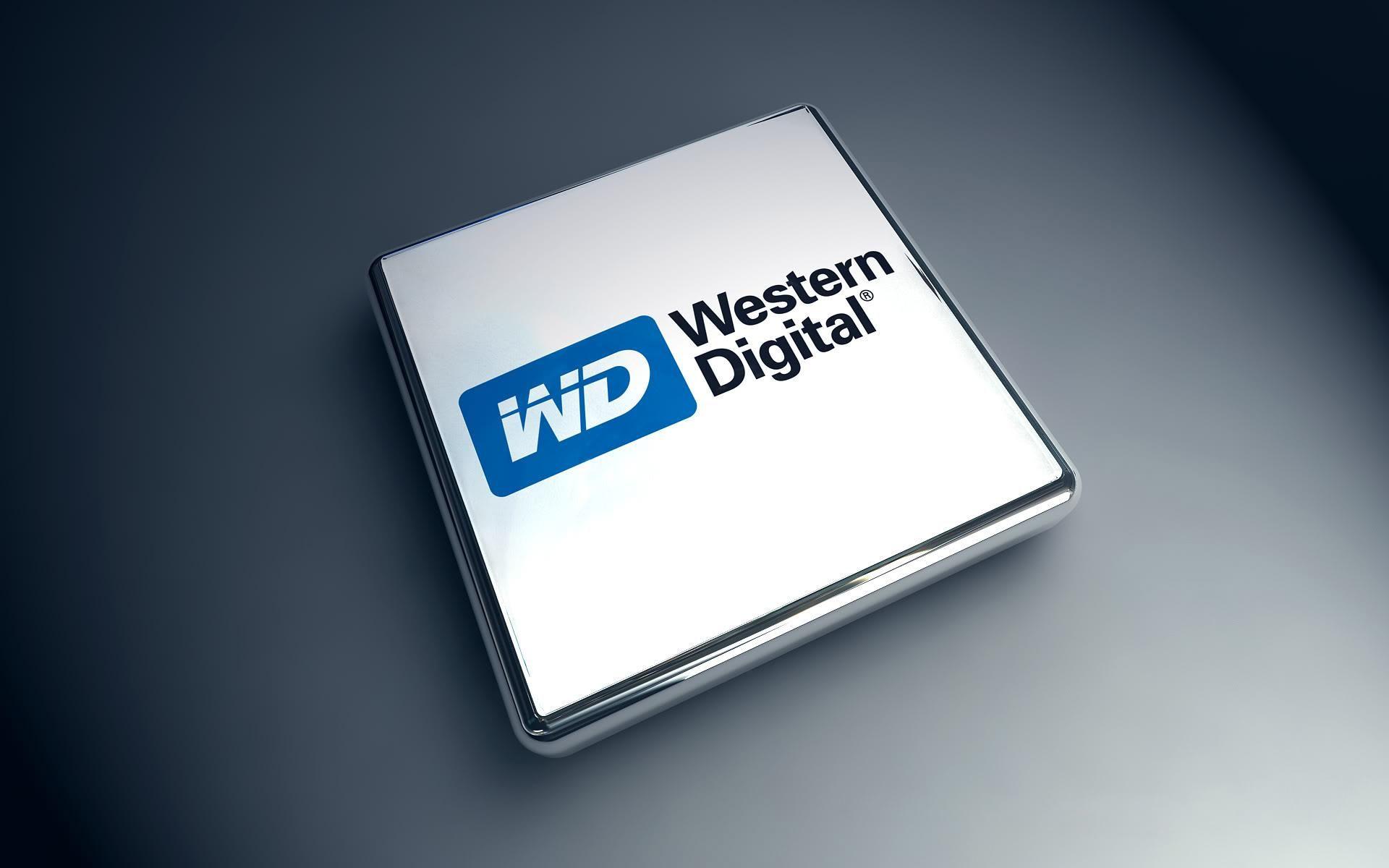 Western Digital Corporation Logo - Why Western Digital Corporation Stock Plunged After Earnings ...