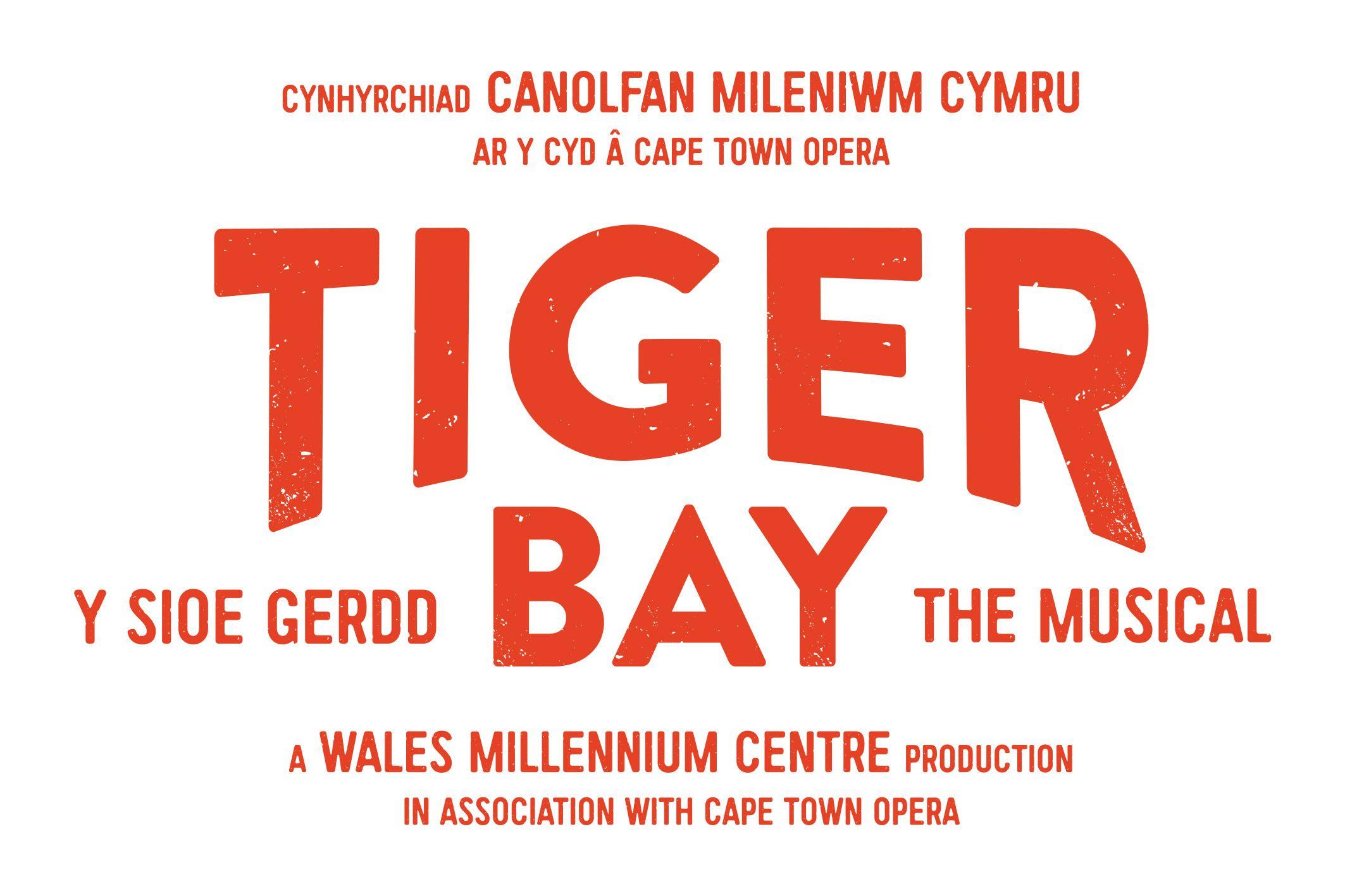 Red and Orange Y Logo - Tiger Bay Logo Bilingual With Credits Orange Copy