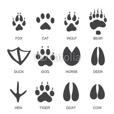 Paw Print Logo - Vector illustration. Set of animal and bird Paw Foot Prints Logo