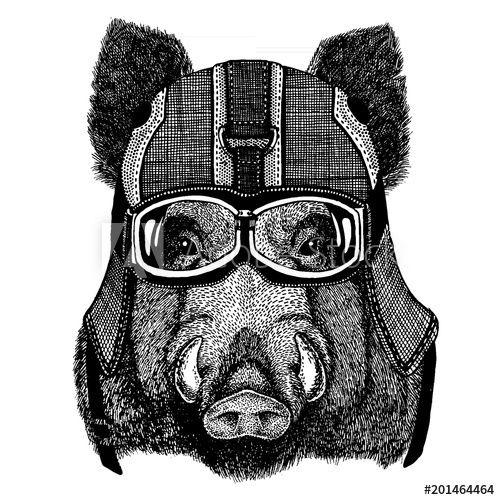 Hog Face Logo - Wild hog, pig, aper, boar. Animal wearing motorycle helmet. Image