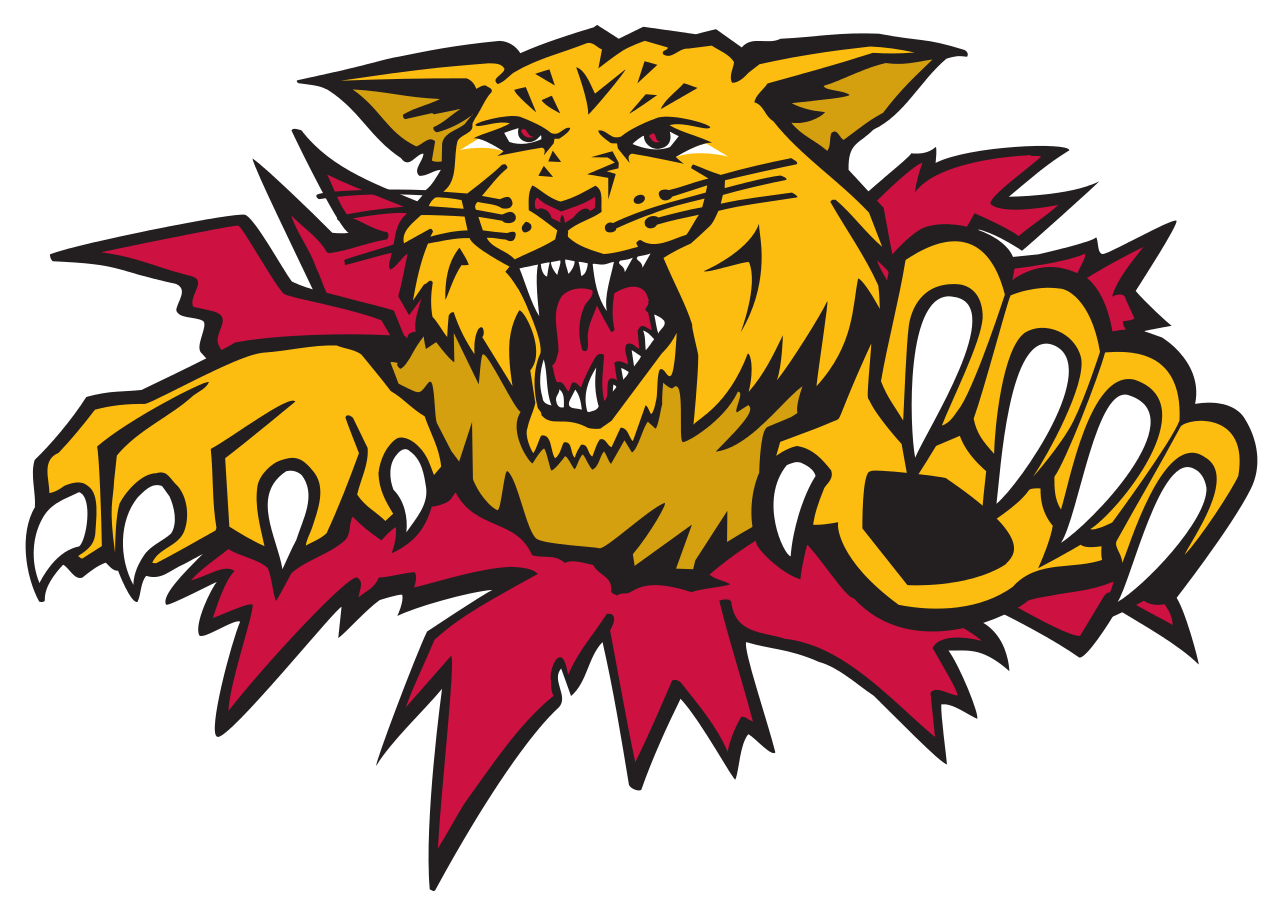 Black and Yellow Wildcats Logo - Wildcat basketball jpg free download - RR collections