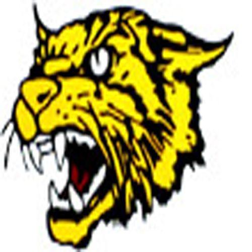Black and Yellow Wildcats Logo - Black And Yellow Wildcats Logo