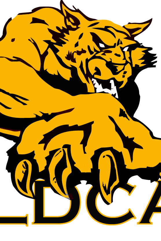 Black and Yellow Wildcats Logo - 20 Wildcat clipart baby for free download on YA-webdesign