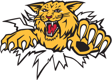 Black and Yellow Wildcats Logo - Moncton Wildcats