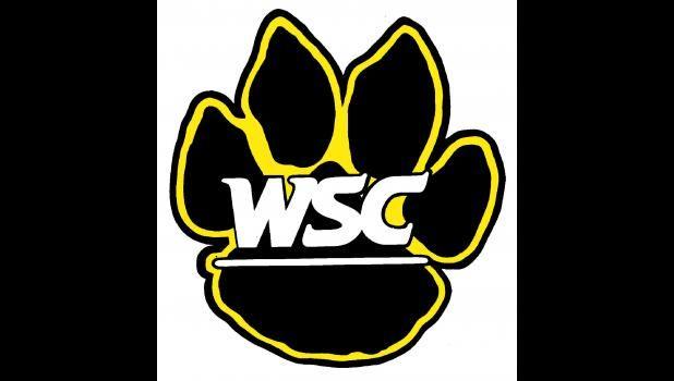 Black and Yellow Wildcats Logo - Wildcats sweep USF by identical 9-1 scores | My Wayne News