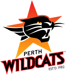 Black and Yellow Wildcats Logo - Perth Wildcats
