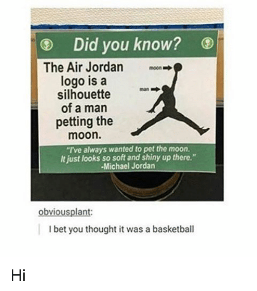 Girl Air Jordan Logo - Did You Know? The Air Jordan Moon Logo Is a Silhouette an of a Man ...