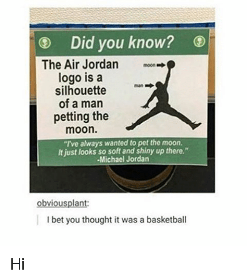 Girl Air Jordan Logo - Did You Know? The Air Jordan Moon Logo Is a Silhouette an of a Man