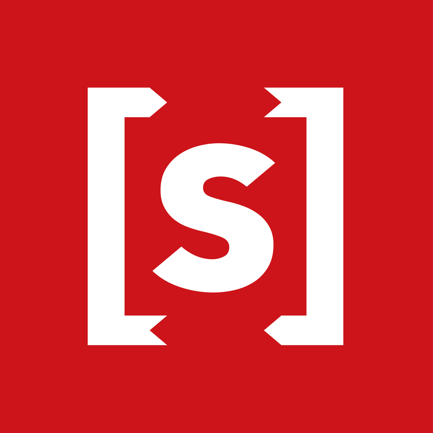 Red and White S Logo - Brand Guidelines — Chip[s] Board®