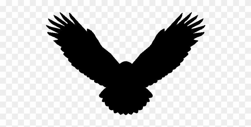Black and Yellow Eagle Logo - The Actual Seal Surrounding The Hawk Should Be Yellow