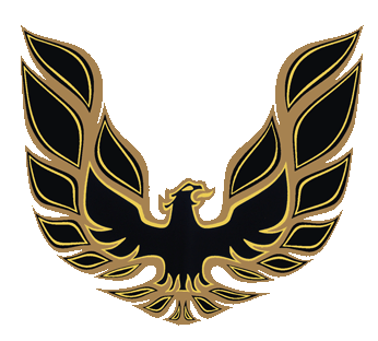 Black and Yellow Eagle Logo - Trans Am Chickanalyzer