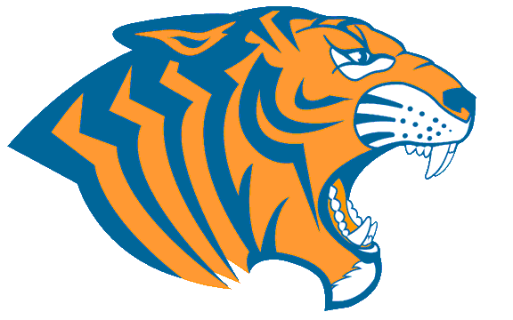 Blue and Orange Tiger Logo - Picture