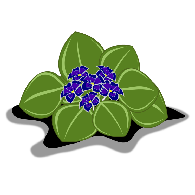 Blue Violets Logo - African violets Plants Pansy Drawing Marsh blue violet free