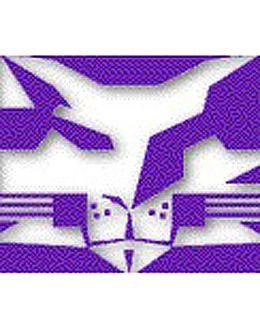 Blue Violets Logo - The NYU Violets. Worst Team Names