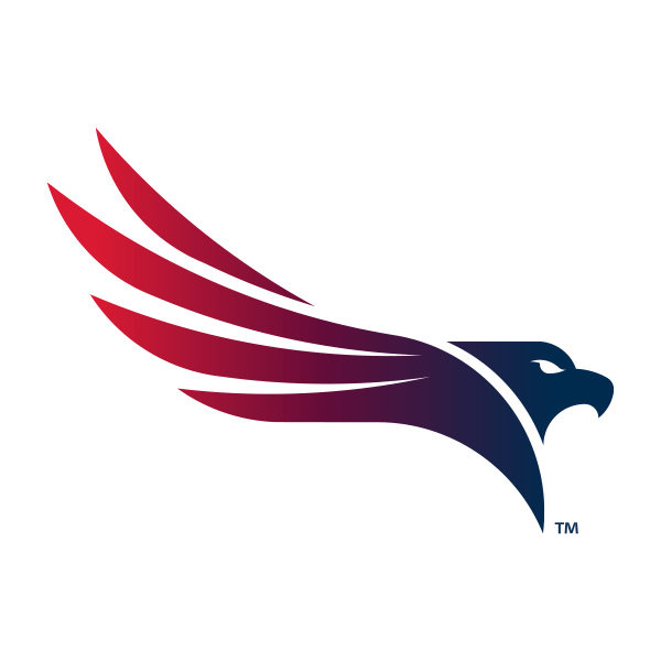 New American Eagle Logo - Web Design and Development | Americaneagle.com