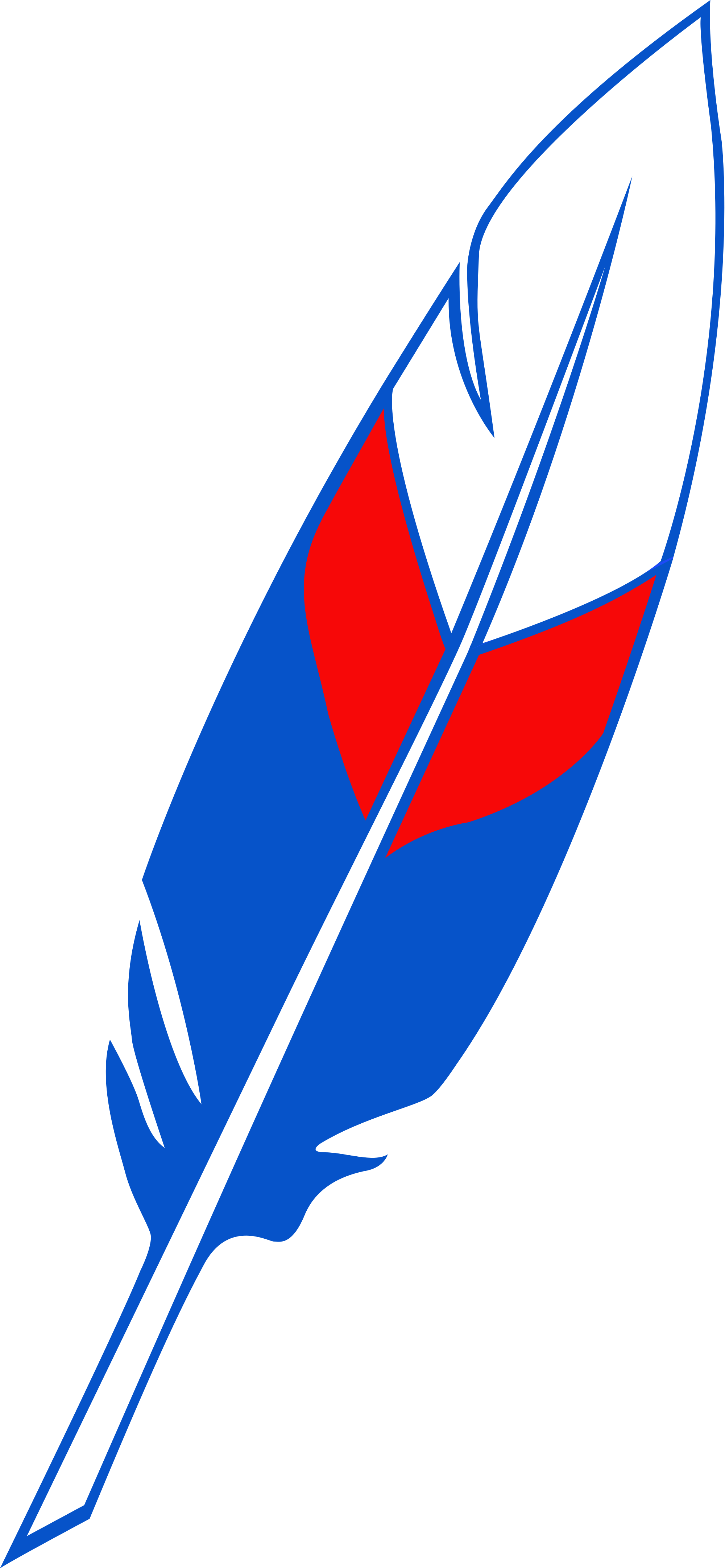 Quills Football Logo - Quill of the Czech National Social Party.svg