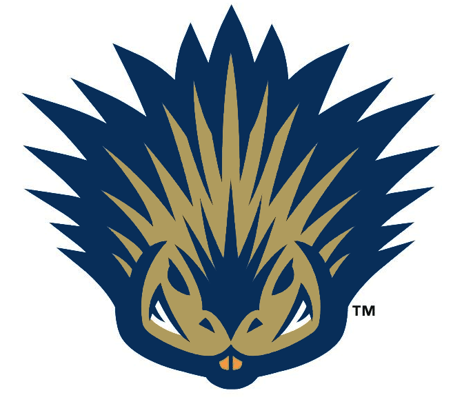 Quills Football Logo - It's a Porcupine Train: The Story Behind the SWB RailRiders. Chris