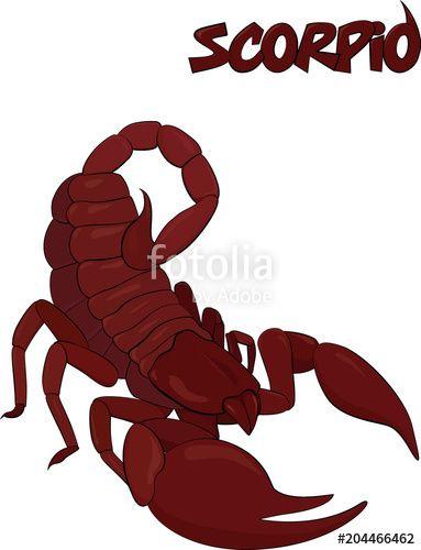 Red and White Scorpion Logo - Red Scorpion Symbol Isolated On White Stock Image And Royalty Free