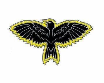 Black Canary Logo - Black Canary rebirth, leather jacket back embellishment | Costumes ...