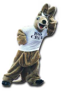 Austin College Kangaroos Logo - Kangaroo Mascot - Austin College