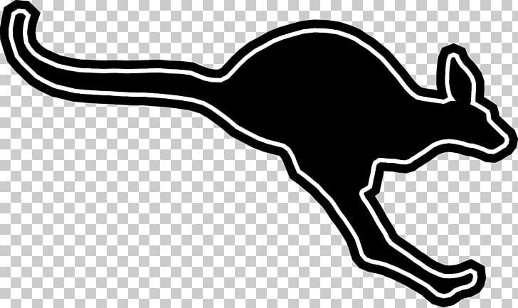 Austin College Kangaroos Logo - Austin College Kangaroos football Austin College Kangaroos men's ...