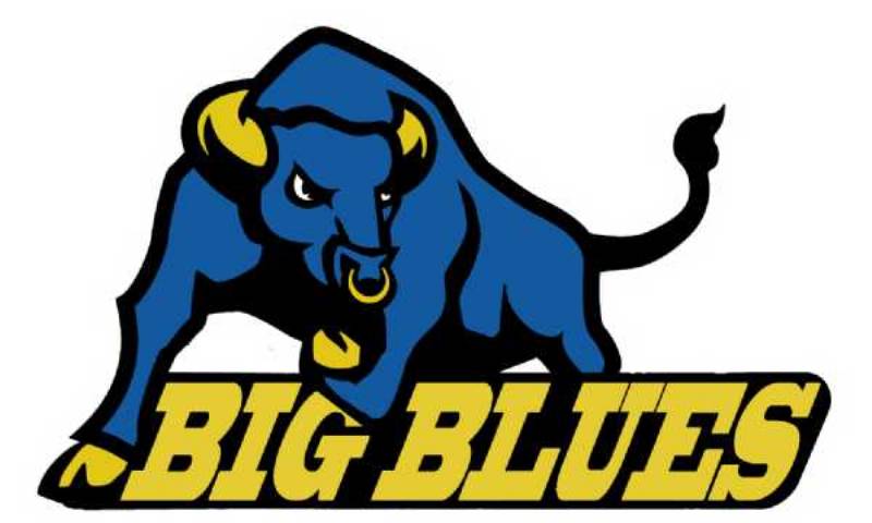 Big Blue S Logo - Teams