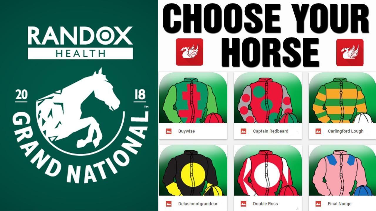 Opaque Flying Horse Logo - Pinstickers' guide to Grand National runners 2018