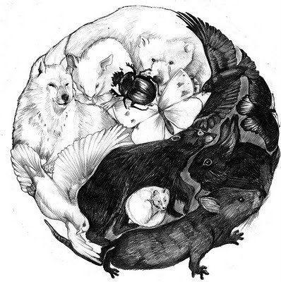 Ying Yang Bird Logo - creative ying yang symbol with wolves, rats rodents birds and bugs ...