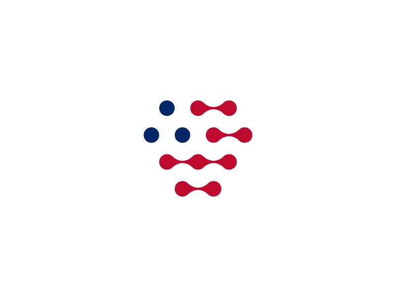 American Software Company Logo - Digital American Flag. July 4th Design Inspiration
