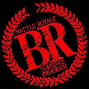 Battle Royale Logo - Battle Royale Logo Movie T Shirt [A31] Sizes S