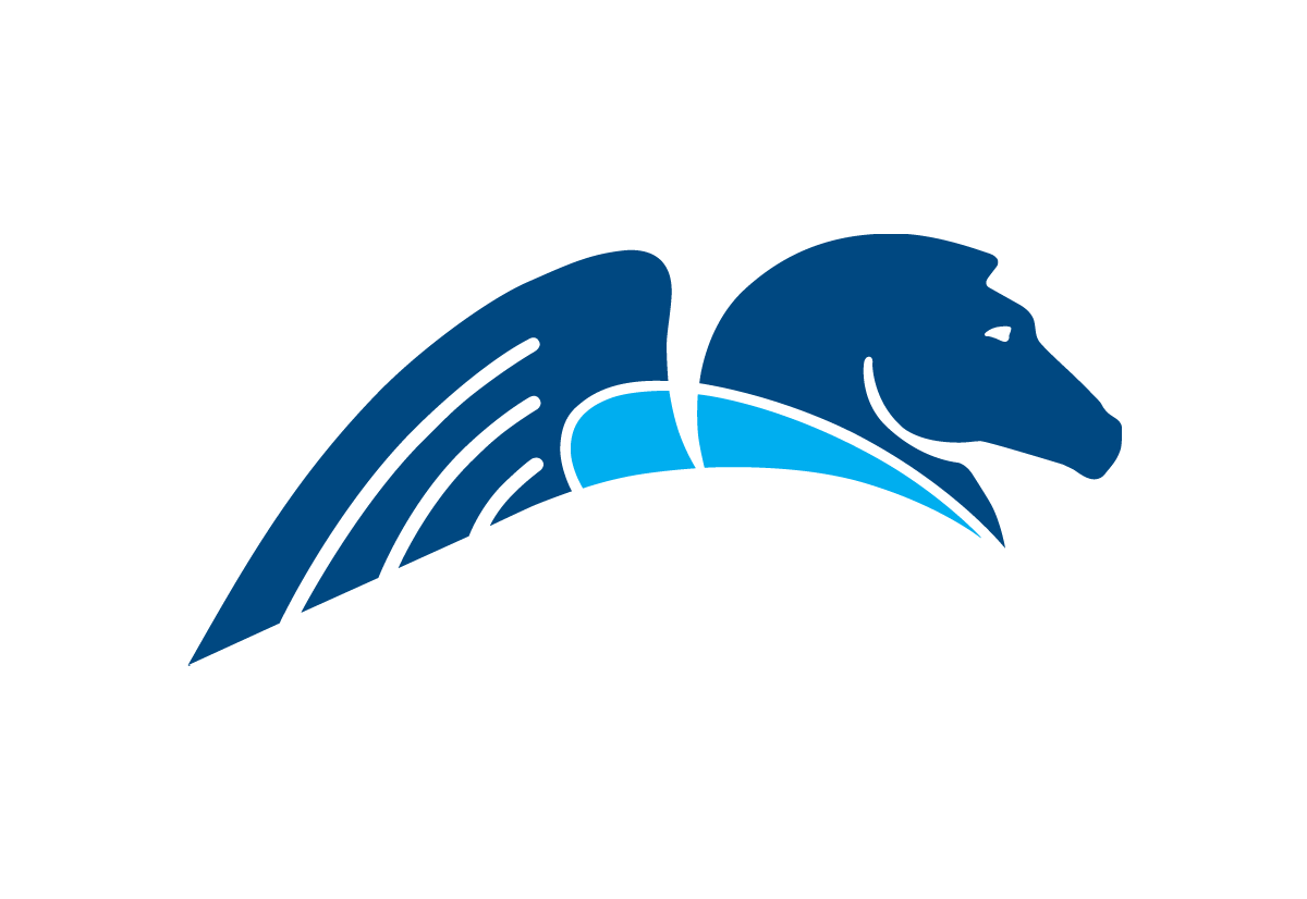 Pegasystems Logo - Pegasystems logo