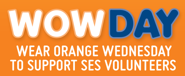 Orange Day Logo - Wear Orange Wednesday