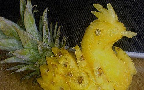 Pineapple Bird Logo - Pineapple Bird | tapenade | Flickr