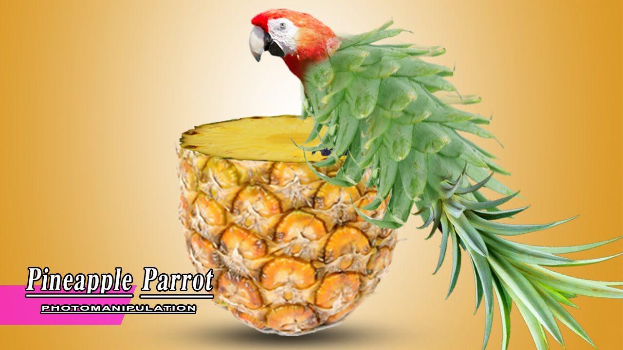Pineapple Bird Logo - Pineapple Parrot - Photoshop Photo Manipulation Tutorial - Photoshop ...