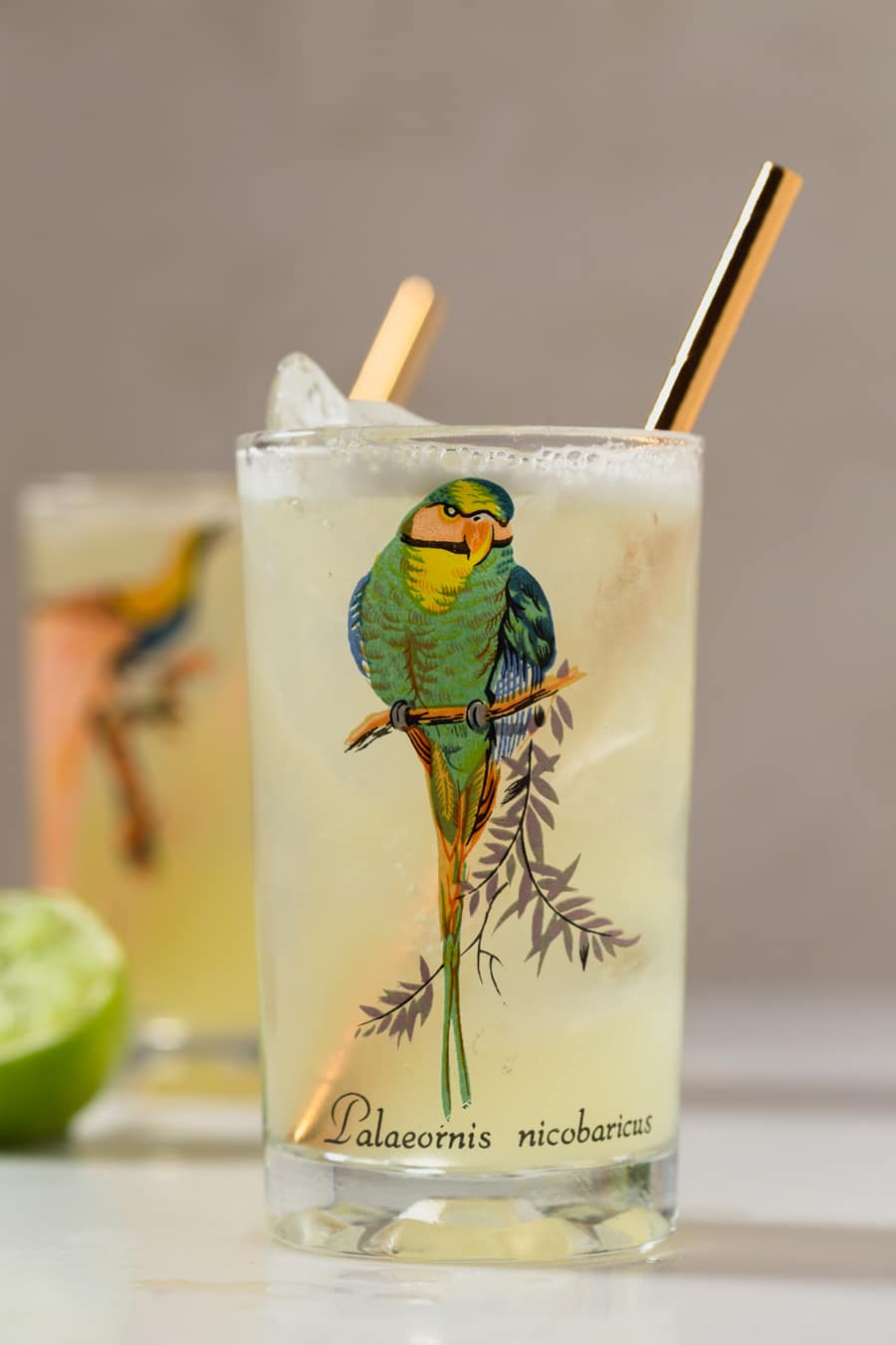 Pineapple Bird Logo - Pineapple Gin Cooler Cocktail Perfect for Summer BBQs. Cup of Zest